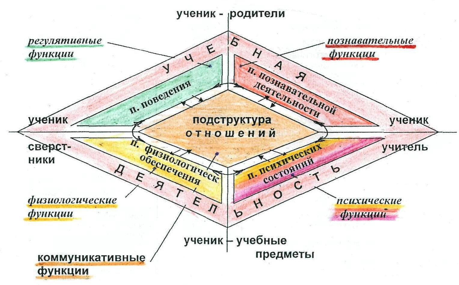 Физиологические и психические функции