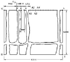 musa1.tif