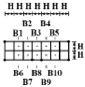 musa5.tif
