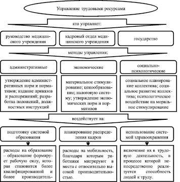 План спрос в экономике егэ обществознание