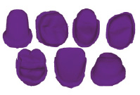 zulev3.tiff