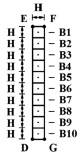 mus3_3.tif