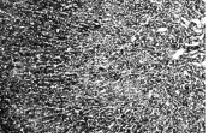 sol2.tif