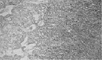 sol3.tif