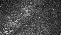 sol4.tif