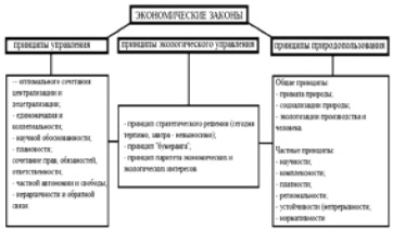 Как вы думаете почему любой проект требует экономического и экологического обоснования 6 класс