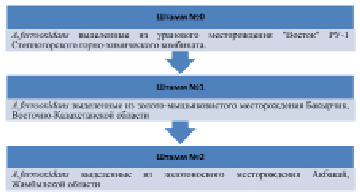 kanaev1.tif