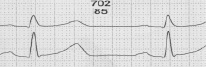 vorob1.tif