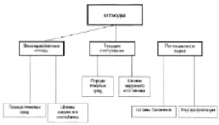 Проекты нормативов образования отходов хозяйствующими субъектами утверждаются