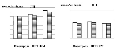 musa5.tiff
