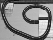 cvetec1.tif