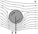 cvetec5.tif