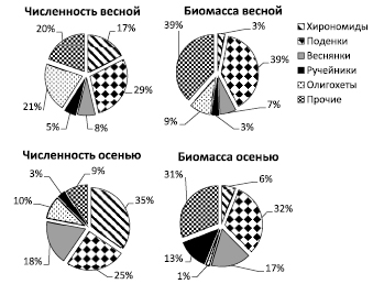 Диаграмма показывающая соотношение биомассы растений и животных в океане