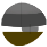 adam3c.tif