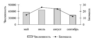 salt2.wmf
