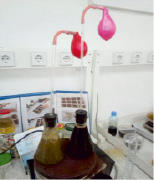 esen2b.tif