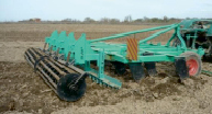 rzal1b.tif
