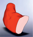 alymb3.tif