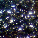 sid1a.tif