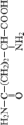 saralovT5.tif