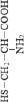 saralovT8.tif