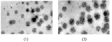 missing image file